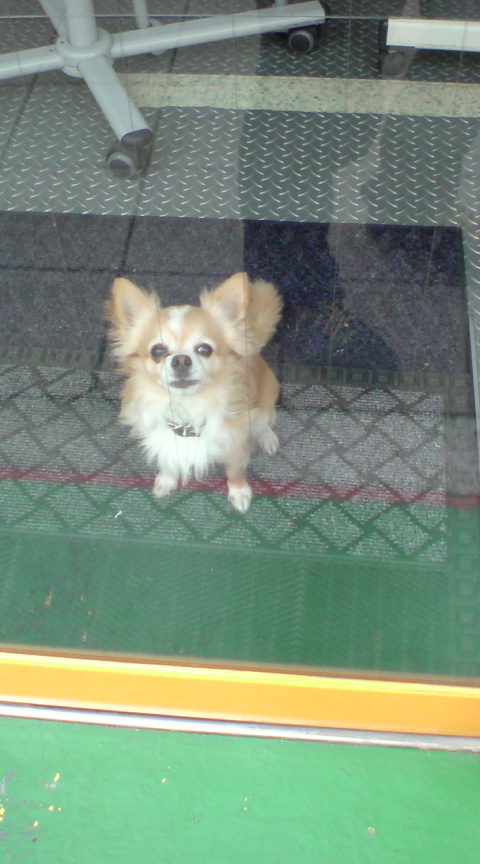 20090418130113.jpg
