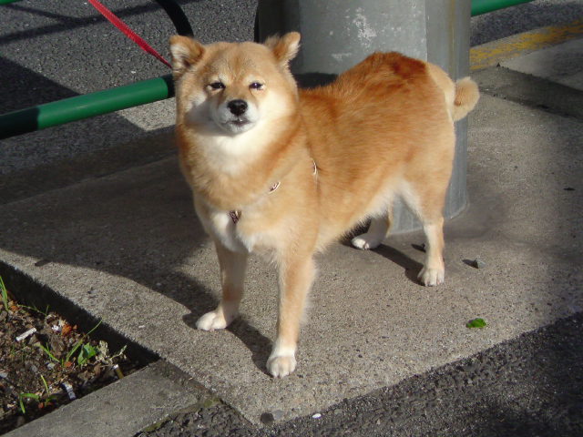 20090426163439.jpg