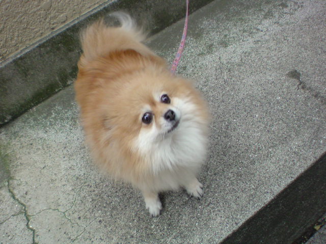 20090523110810.jpg