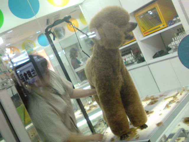 20090613190834.jpg
